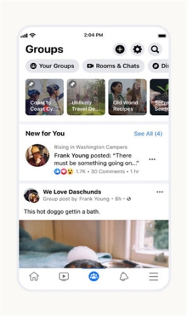 1765102655723138.jpg 479678_0.jpg